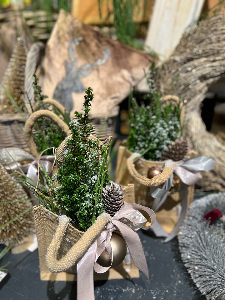 Advent Zuhause blumenhofkehr.de